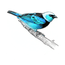 Working Async — remote asynchronous jobs board logo